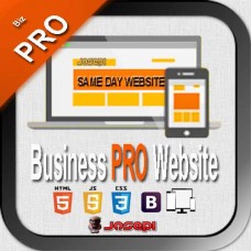WEB DESIGN - BUSINESS PRO Website from Scratch