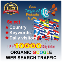 ORGANIC GOOGLE WEB TARGETED TRAFFIC - Country/ Keywords Targeted