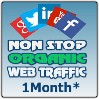 10K US Organic Visitor during 30 Days