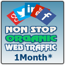 10K US Organic Visitor during 30 Days
