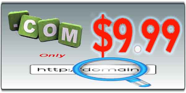 search available domain name